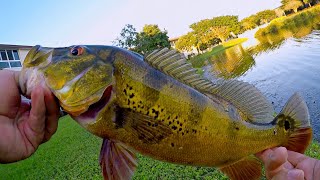 SURPRISE Last Fish the Decade!!! (Bass Fishing in Florida Ponds)