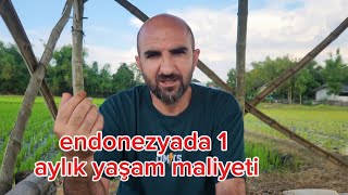 Endonezyada 1 aylık yaşam maliyeti