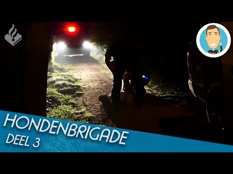 HONDENBRIGADE | SURVEILLANCEHONDEN | POLITIE | DEEL 3