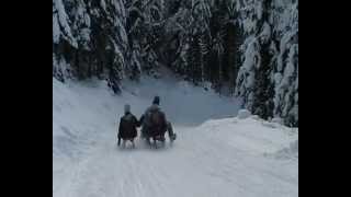 preview picture of video 'Rodeln Karkogel Abtenau Sledding, Rodelen op de Karkogel, Winterrodeln, Rodelabfahrt, funny'