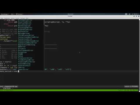 ROP Emporium mit pwntools – 4 badchars