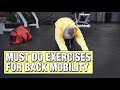 Back Mobility Exercises Pre Weight Training Warm Up & Prehab
