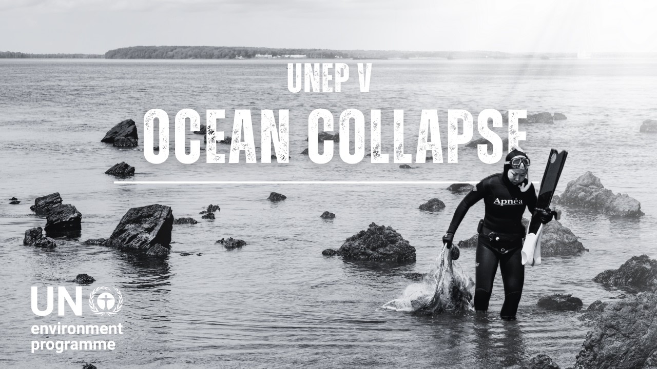 Protecting what connects us all – the ocean.