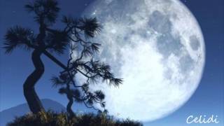 Shy Moon      Caetano Veloso