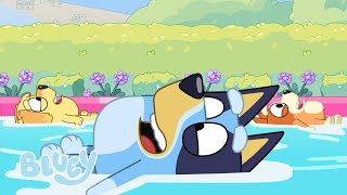 Bluey ile Açık Hava Etkinlikleri 😎💙 | Bluey Türkçe Resmi Kanal