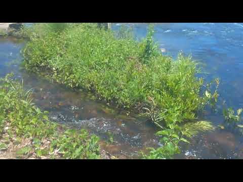 Paraíso no município de Arneiroz ceará 