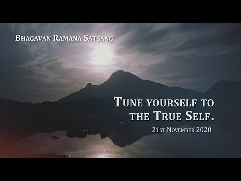 146. Bhagavan Satsang - Tune Yourself to the True Self.