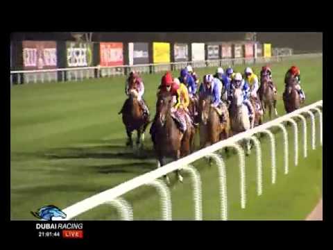 2011 Dubai Sheema Classic(G1) Rewilding(GB)