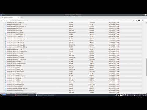 ArcoLinux : 1583 What to do if you have a network issue with the latest ArcoLinux iso - 2 tips
