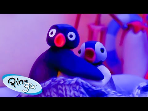 Pingu and Pinga Go Camping! 🐧 | Pingu – Official Channel | Cartoons For Kids - Kids (0-4), Kingdom Kids Zone - Pingu - Official Channel