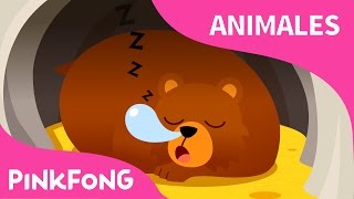 Hibernación | Animales | Pinkfong Canciones Infantiles