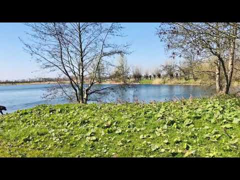 Wagenberg - Plas Made