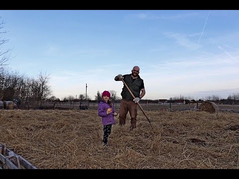 Mélymulcs építése (felülmulcsolás)