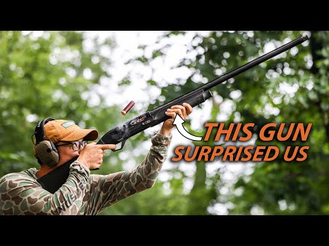 The Best Shotguns of 2025, from Budget to High End