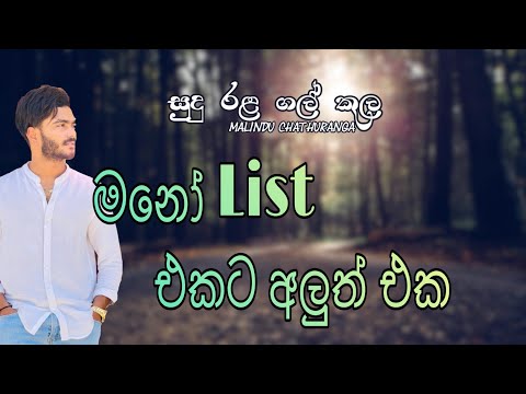 Sudu Rala Gal | සුදු රළ ගල්| Voice Of Malindu Chathuranga | Piano Version