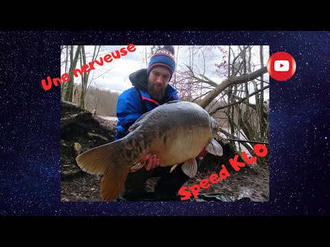 Speed K40 ! Un bijou! by Team Spe6men