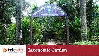 Taxonomic Garden at Nilambur
