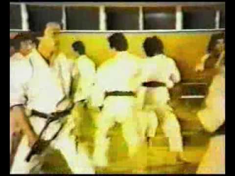 Budo - Karate do part