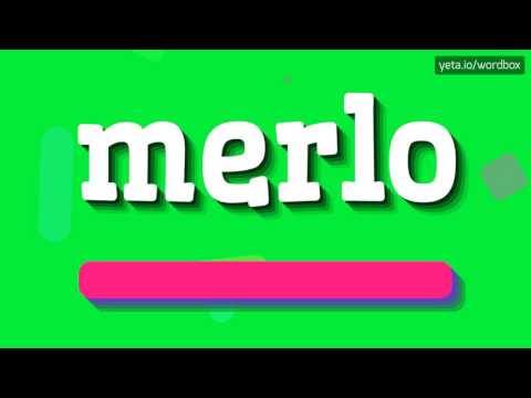 MERLO - HOW TO PRONOUNCE IT!?