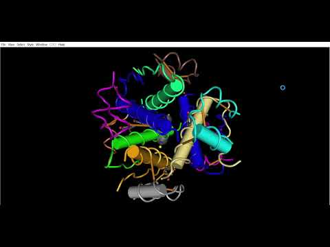 2OM1   Cn3D 4 3 1 16 1 2018 10 26 55 PM