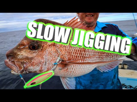 Slow Jigging off Coffs Harbour with Nomad Jigs