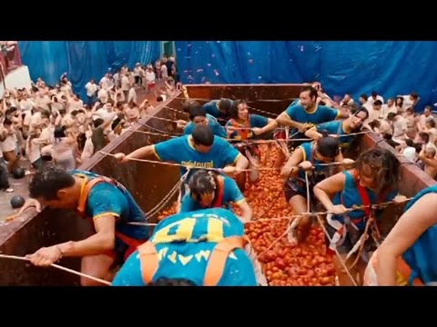 Facts you must know  | La Tomatina