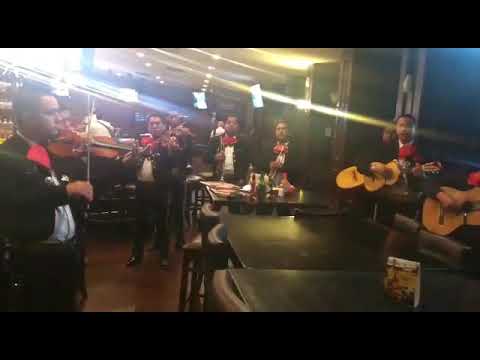 Las mañanitas mariachi Xochipilli McAllen,Tx