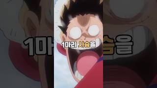 사황 루피와 보니가 살기 위해 쉼호흡 하는 이유