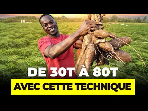 , title : 'Comment passer de 30T à 80T de manioc grâce à cette technique.'