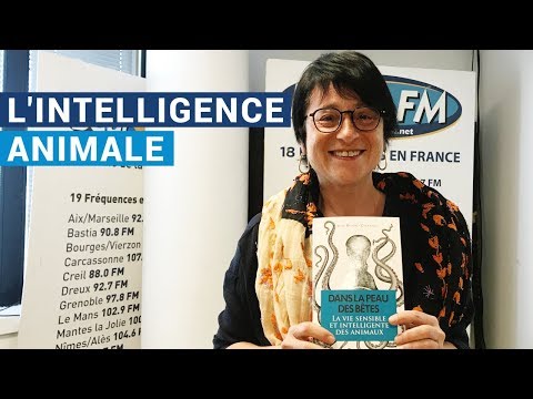 [AVS] "L'intelligence animale" avec Aline Richard Zivohlava