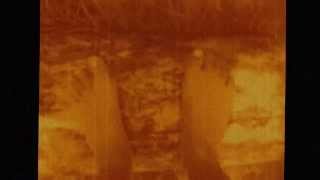 Doce novembro-Marjorie Estiano+Memória