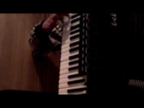 Virtuozna harmonika-Aleksandar Gajic