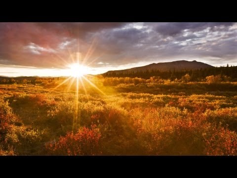 [HD] Acoustic Passion Episode 006 - Pure Melodic & Uplifting Trance in the Mix ♫