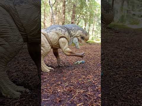 Distortus Rex Vs Indominus Rex #jurassicworldrebirth #jurassicworldmattel