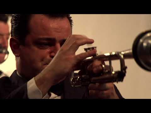 Down Among the Sheltering Palms