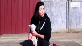 Annabel Fay Supporting SPCA CupCake Day August 29 2011
