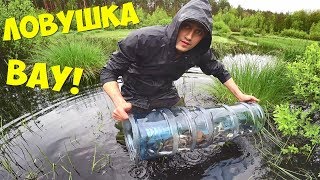 Ссылка