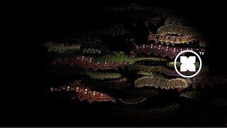 We Will Fail – "Didn't Work Out"