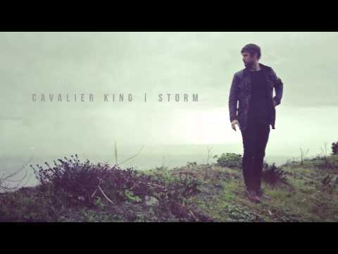Cavalier King - Storm