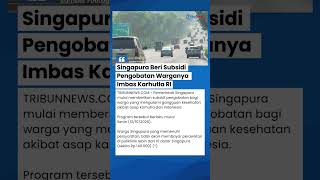Kena Imbas Karhutla RI hingga Udara Tak Sehat, Singapura Beri Subsidi Pengobatan