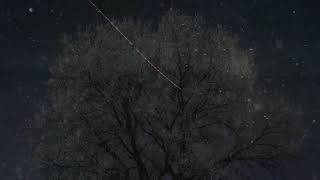 The Winter Song - Angel (1978)