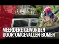 Eerste beelden storm Poly in Amsterdam