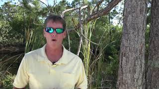 FWC members sit on chemical lobby group
