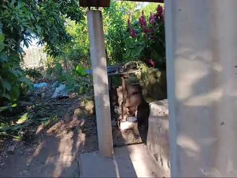 De visita donde tio Tulio en san pedro pinula jalapa