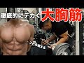 プロトレーナーに教わるデカくなる大胸筋トレーニングが効きすぎる!低重量なのに筋肉痛がやばすぎた【必見】