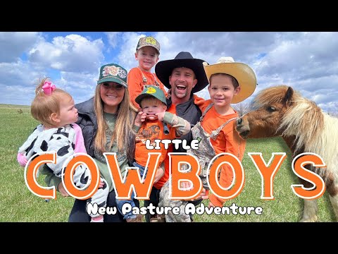Little Cowboy’s Field Trip Adventure! | Kids Exploring/Mystery /Bull/Farm/Trailer/Mini Cow/Animals