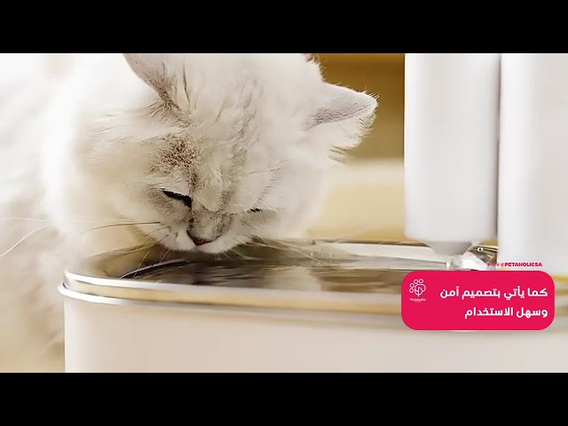 فلتر نافورة كات نايت