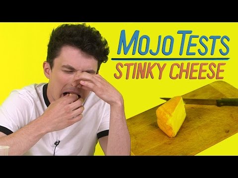 download lagu mp3 mp4 Maroilles Cheese, download lagu Maroilles Cheese gratis, unduh video klip Maroilles Cheese