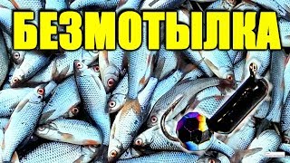 Снасти для ловли на безмотылку