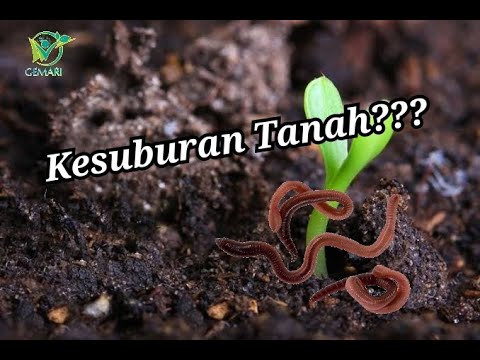 , title : 'Kesuburan Tanah'